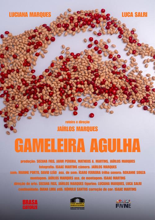 Gameleira Agulha 2026 official movie poster