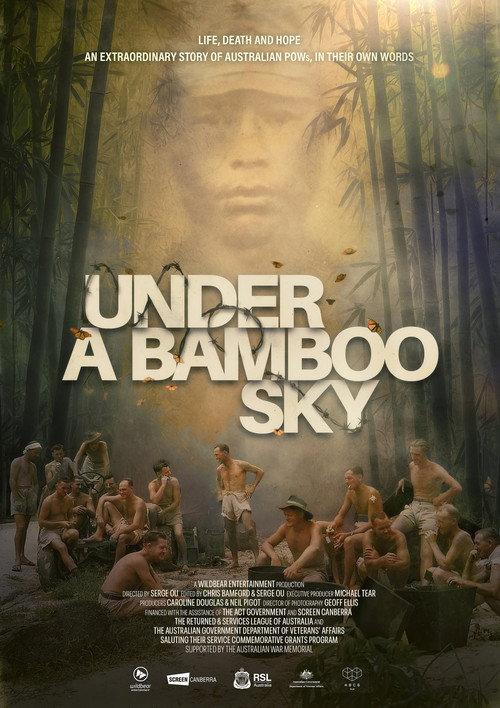 Under a Bamboo Sky 2026 official movie poster