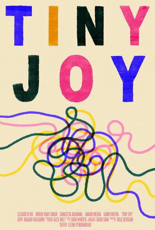 Tiny Joy 2024 official movie poster