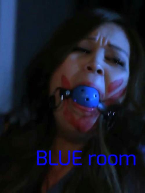 Blue Room 2013 official movie poster