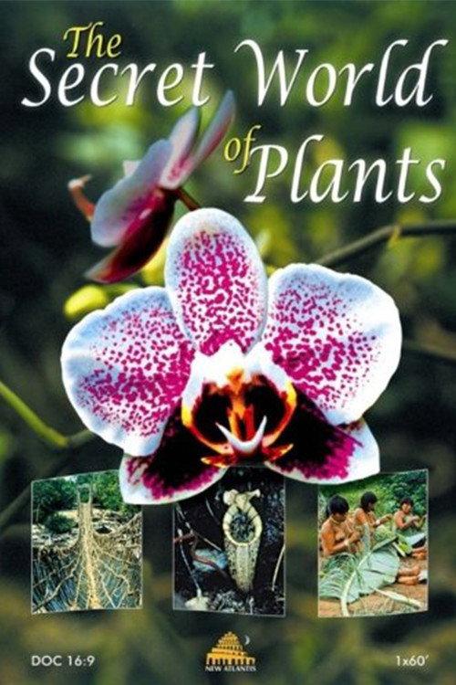 The Secret World of Plants 2003 official movie poster