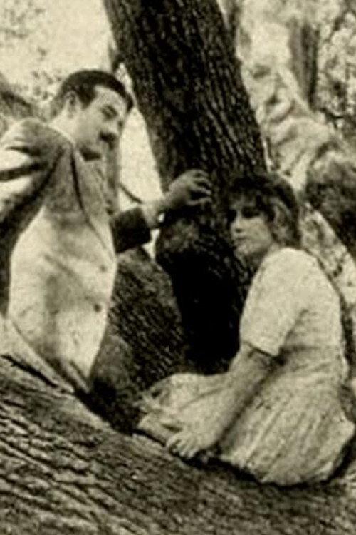 The Girl of the Grove 1912 official movie poster
