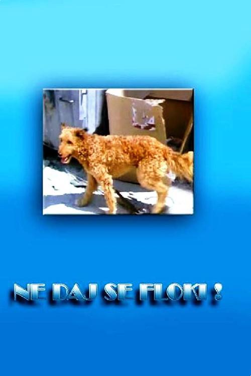 Don't Give in, Flockey! 1986 official movie poster