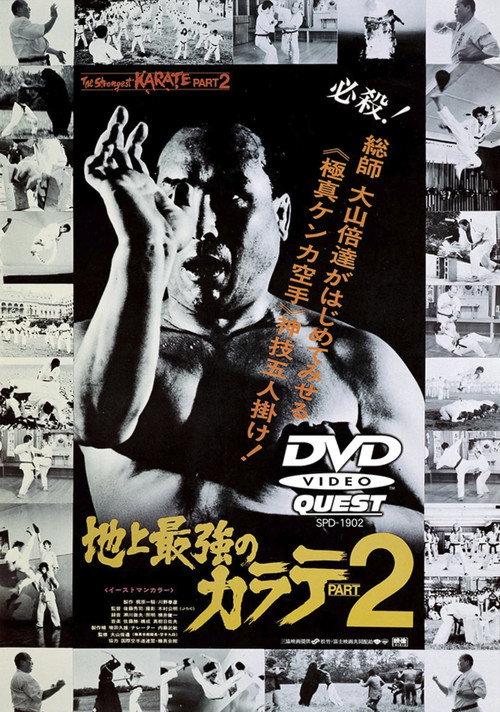 The Strongest Karate Part 2 1976 official movie poster