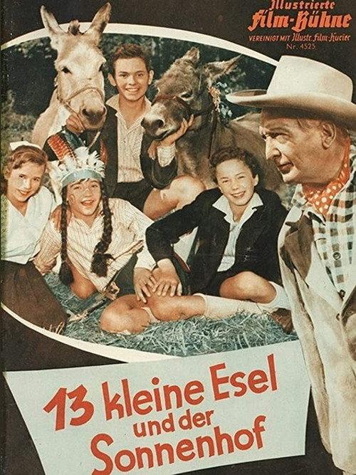13 Little Donkeys and the Sun Court 1958 official movie poster