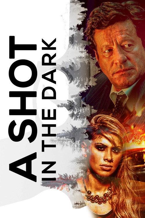 A Shot in the Dark 2005 official movie poster