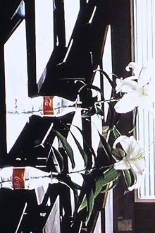 A Gray Rain Is Going to Fall 1999 official movie poster