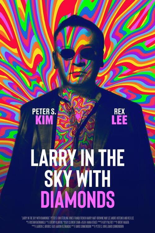 Larry in the Sky with Diamonds 2024 official movie poster