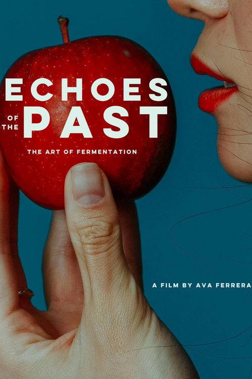 Echoes of the Past 2025 official movie poster