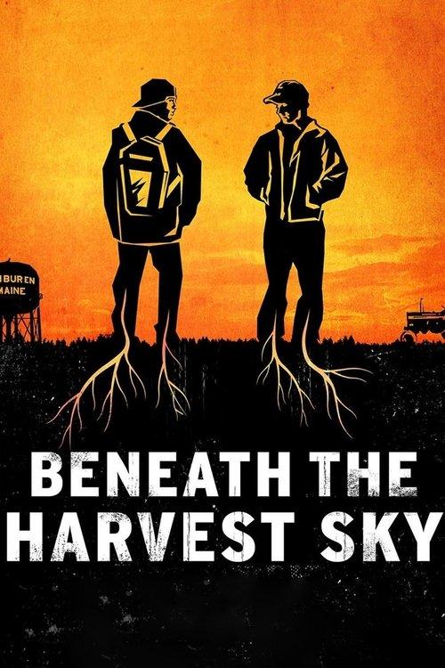 Beneath the Harvest Sky 2013 official movie poster