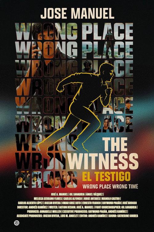 The Witness 2011 official movie poster