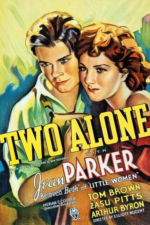 Two Alone 1934 official movie poster