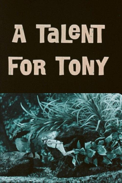 A Talent For Tony 1971 official movie poster