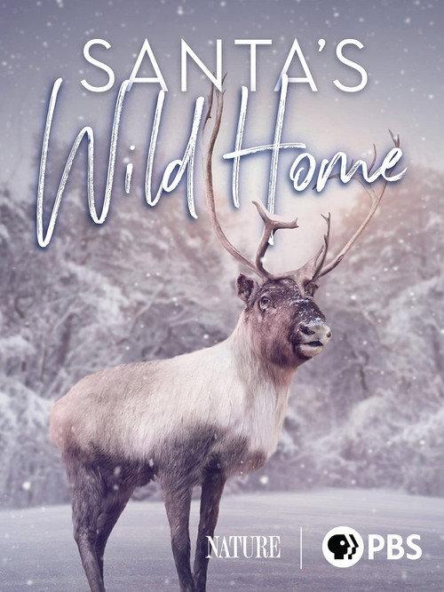 Santa's Wild Home 2020 official movie poster