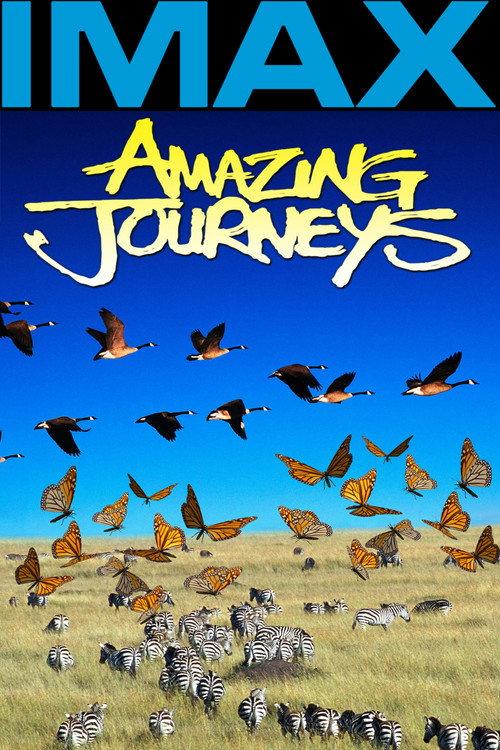 Amazing Journeys 1999 official movie poster