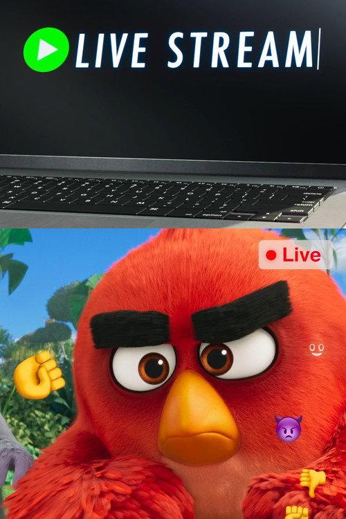 Angry Birds: Live Stream 2019 official movie poster