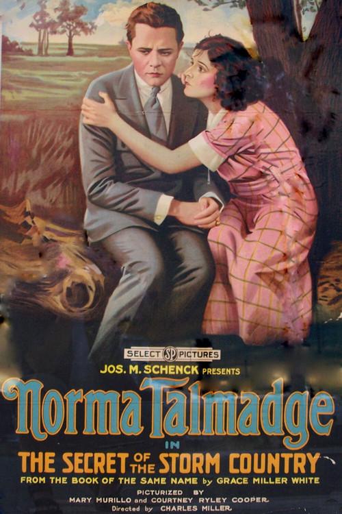 The Secret of the Storm Country 1917 official movie poster