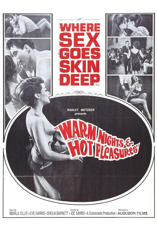 Warm Nights and Hot Pleasures 1964 official movie poster