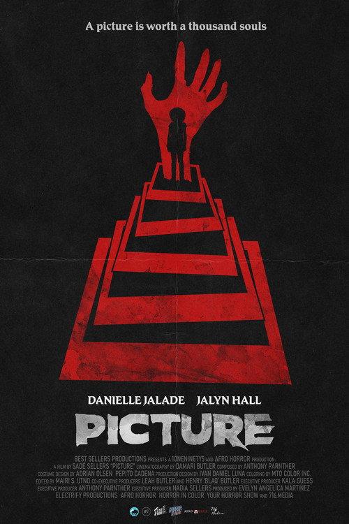 Picture 2023 official movie poster