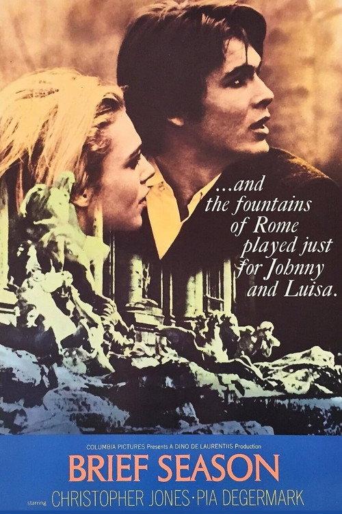 A Brief Season 1969 official movie poster