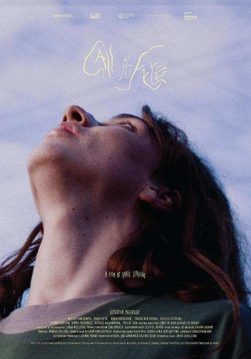 Call it Fate 2025 official movie poster
