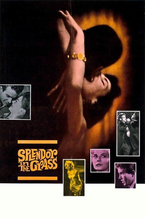 Splendor in the Grass 1961 official movie poster