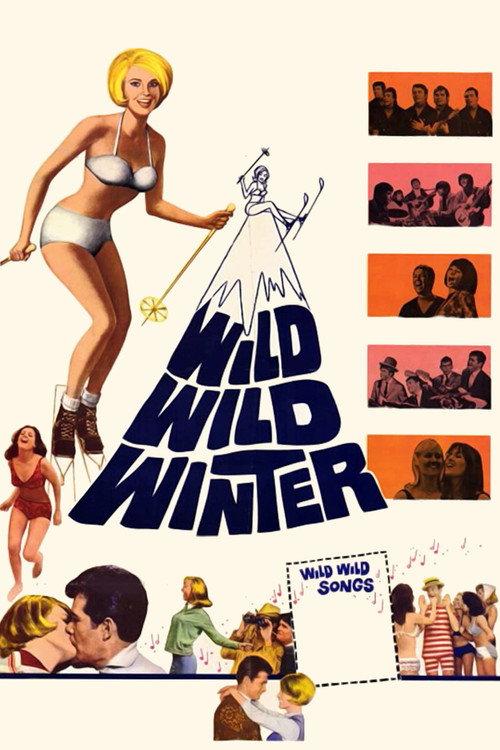 Wild, Wild Winter 1966 official movie poster