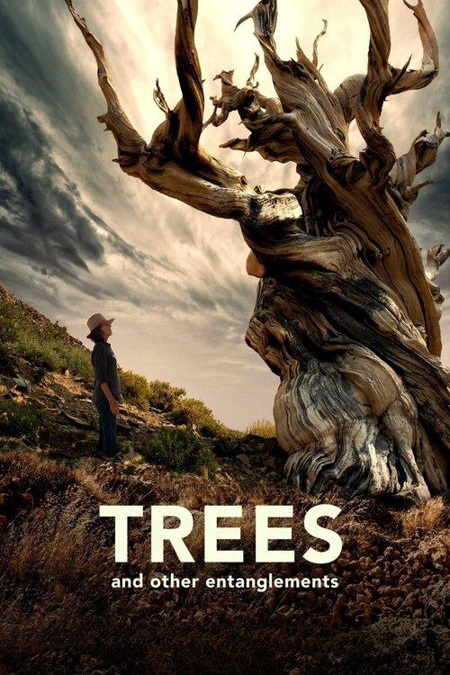 Trees and Other Entanglements 2023 official movie poster