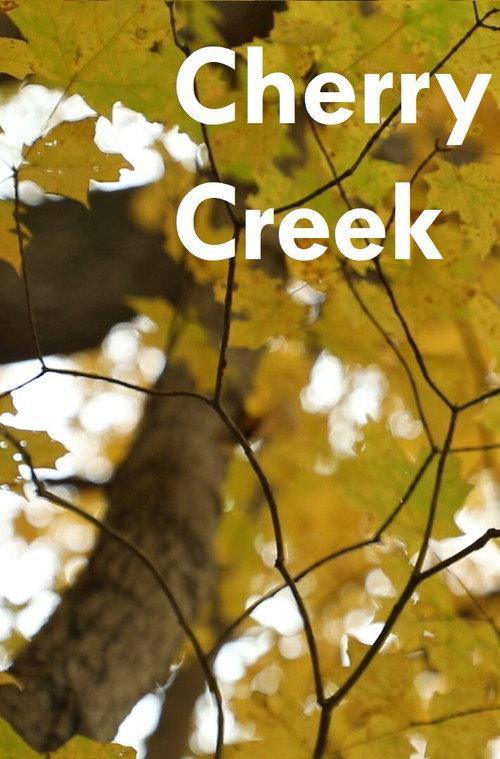 Cherry Creek 2025 official movie poster