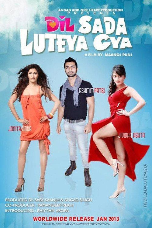 Dil Sada Luteya Gaya 2013 official movie poster