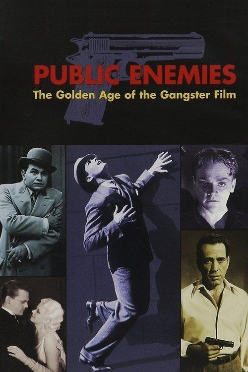 Public Enemies: The Golden Age of the Gangster Film 2008 official movie poster