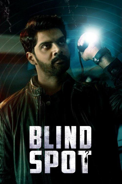Blind Spot 2025 official movie poster