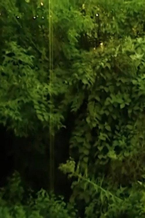 I love the sound cicadas make. 2023 official movie poster