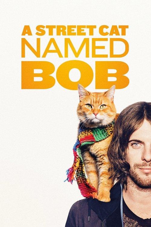 A Street Cat Named Bob 2016 official movie poster