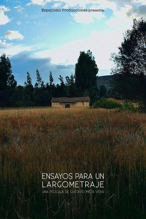 Ensayos para un largometraje 2015 official movie poster