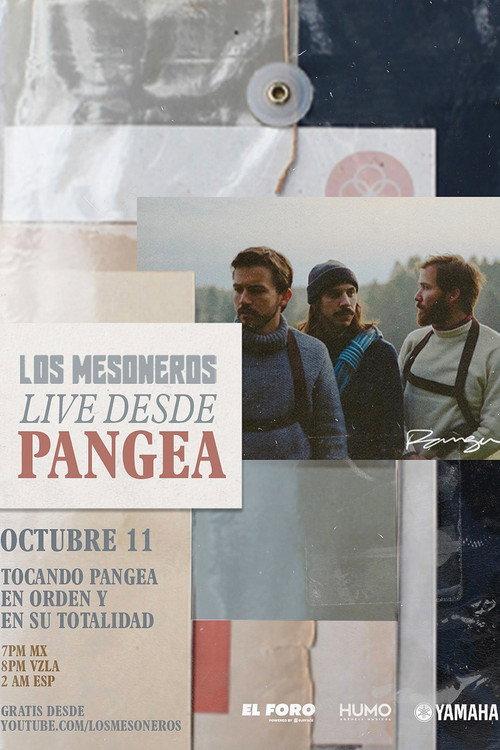 Los Mesoneros Live Desde Pangea 2020 official movie poster
