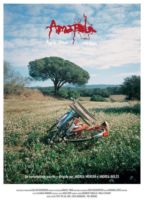 Amapola 2024 official movie poster