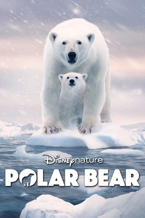 Polar Bear 2022 official movie poster