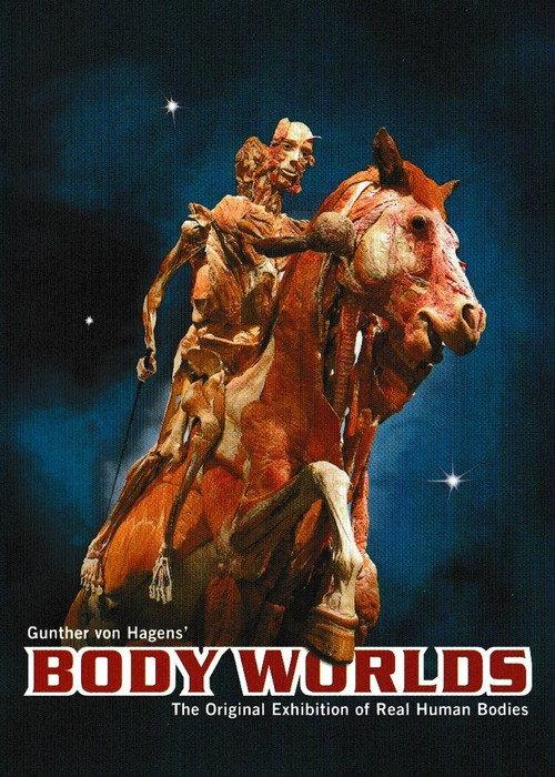Body Worlds 1999 official movie poster