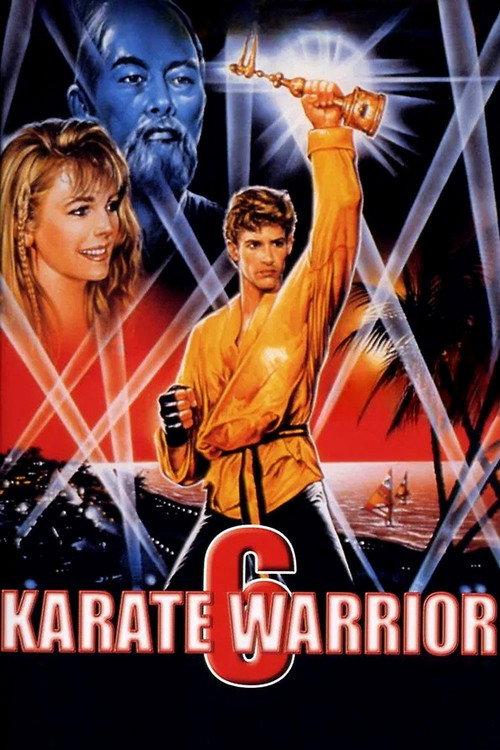 Karate Warrior 6 1993 official movie poster