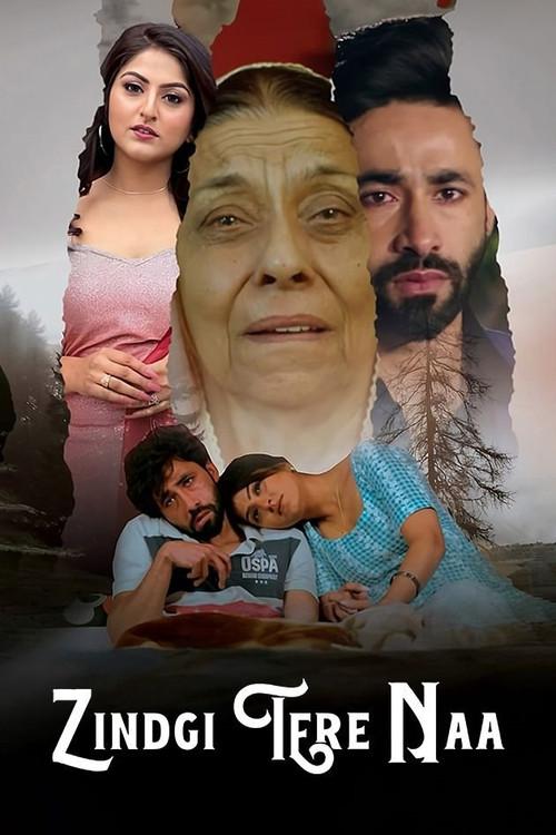 Zindgi Tere Naa 2024 official movie poster
