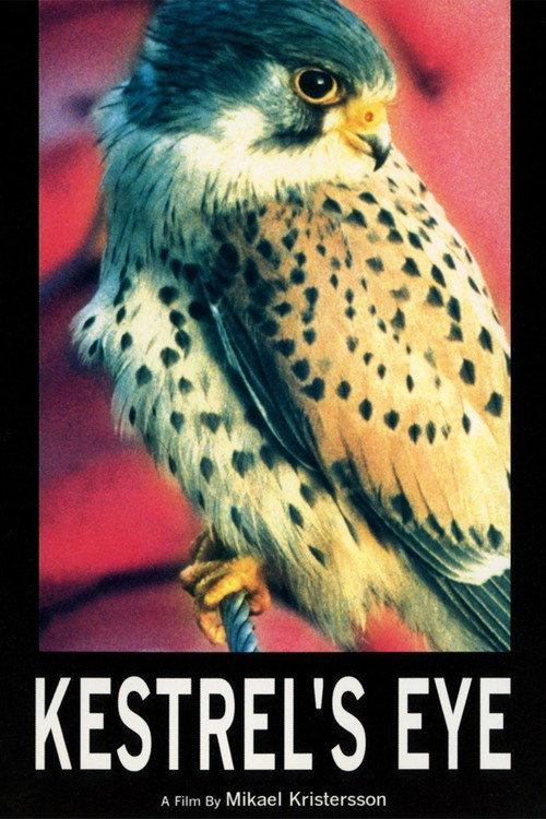 Kestrel's Eye 1998 official movie poster