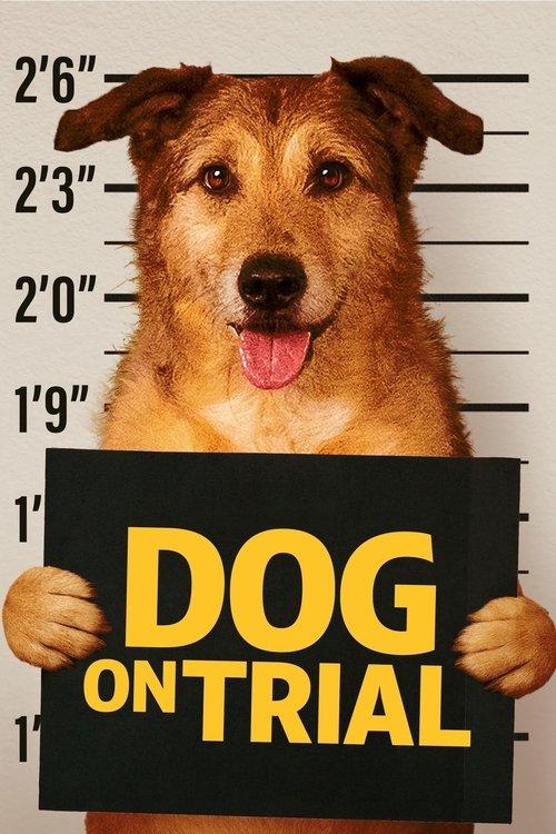 Dog on Trial 2024 official movie poster