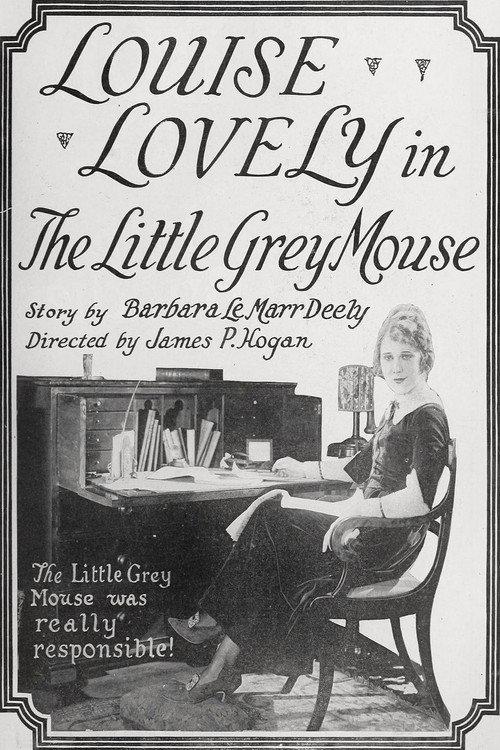 The Little Grey Mouse 1920 official movie poster