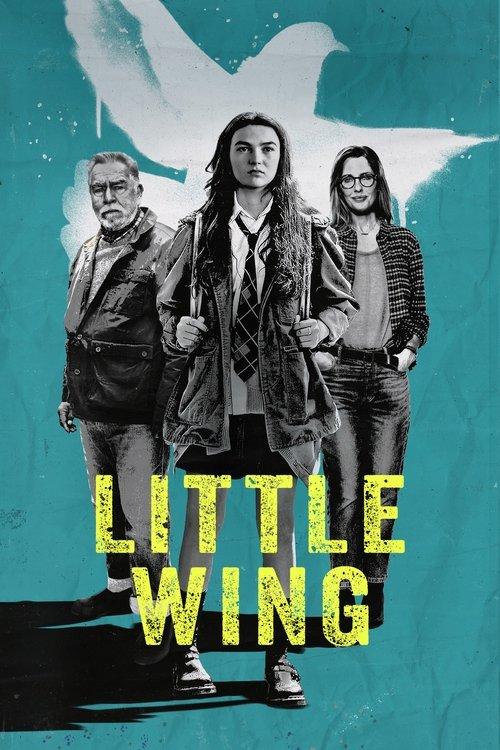 Little Wing 2024 official movie poster