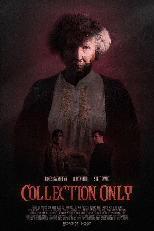 Collection Only 2024 official movie poster