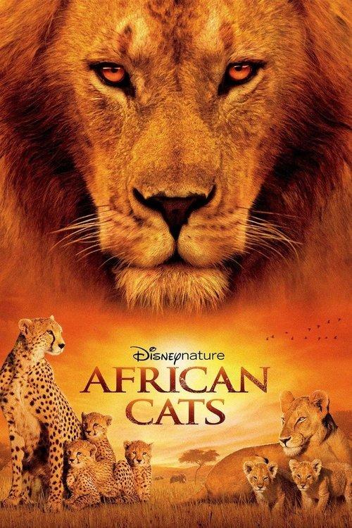 African Cats 2011 official movie poster