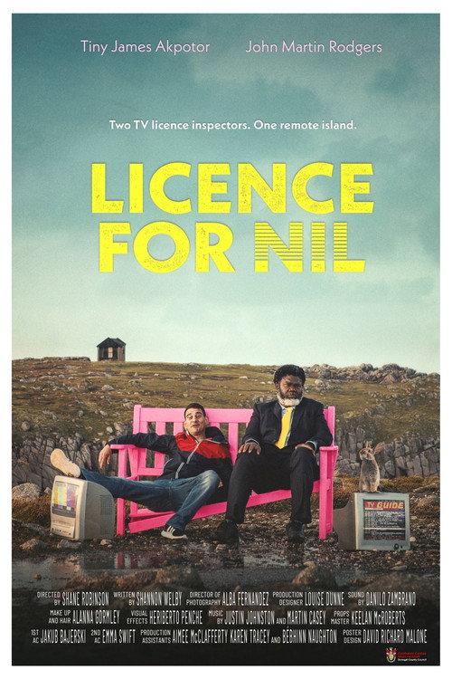 Licence for Nil 2023 official movie poster