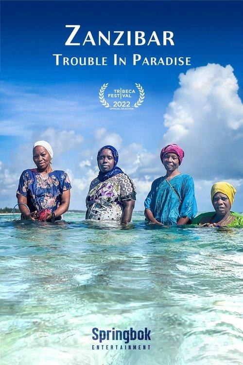 Zanzibar: Trouble in Paradise 2022 official movie poster