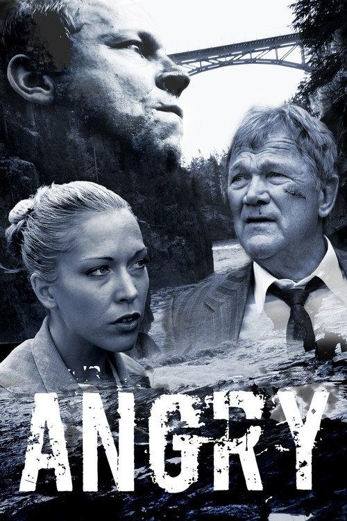 Angry 2010 official movie poster